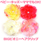 �艿1180��500�Z�[���@�s�I�j�[���w�A�N���b�v�S��ށ�ySimplyFabowlous�z