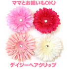 �艿1180�~��500�~�Z�[���@�f�C�W�[���w�A�N���b�v�S��ށ�ySimplyFabowlous�A�����J�z